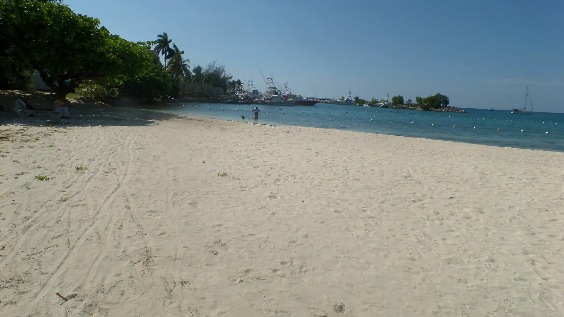 Lägenhet Island Breeze Studio Ocho Rios